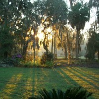 grounds