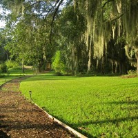 casa micanopy