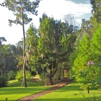 casa micanopy