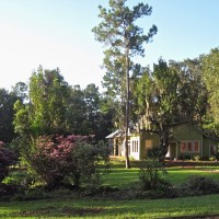 casa micanopy