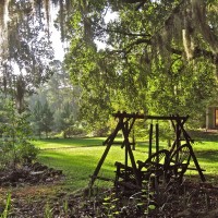 casa micanopy